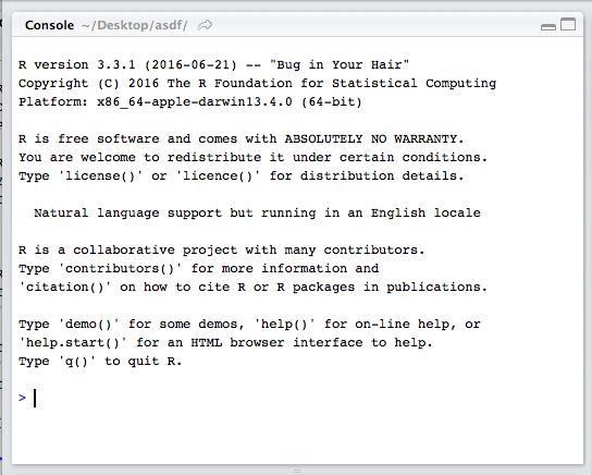 The console the calculation heart of R. All of your code will (eventually) go through here.